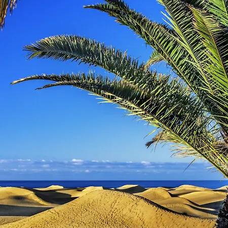 Semesterbostad Deluxe Canteras By Canariasgetaway Las Palmas de Gran Canaria